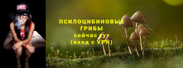 экстази Мамадыш