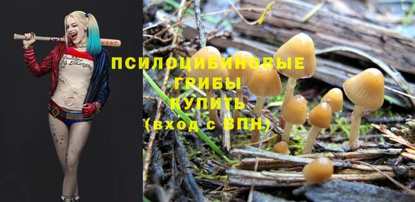 таблы Малоярославец
