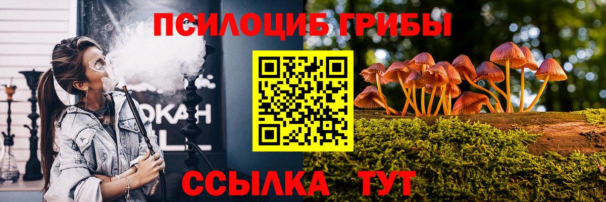 Псилоцибиновые грибы ЛСД Владимир