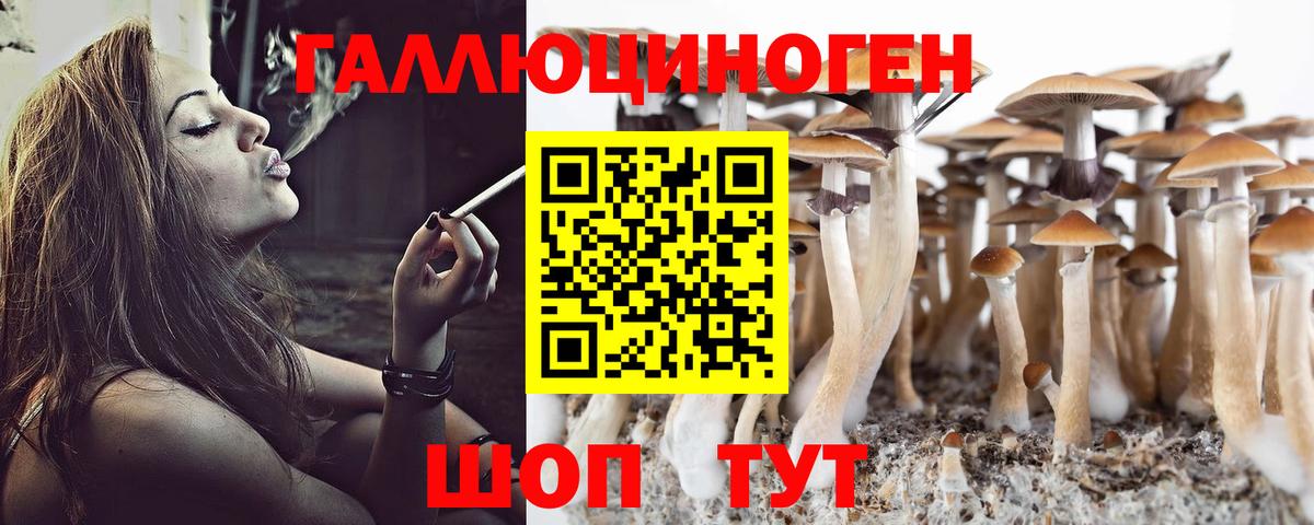 Галлюциногенные грибы мицелий  как найти закладки  Владимир 