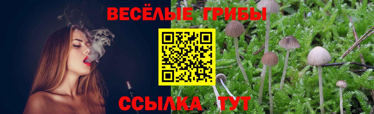 Галлюциногенные грибы мицелий  Вход с VPN  Владимир 