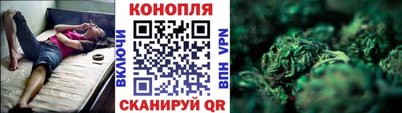что такое наркотик  Владимир  Конопля гибрид 