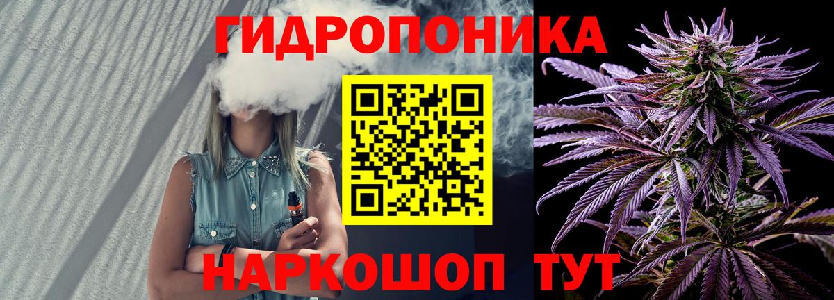 Бошки Шишки Bruce Banner  Вход с VPN  Владимир  Марихуана THC 21%  Каннабис Ganja 